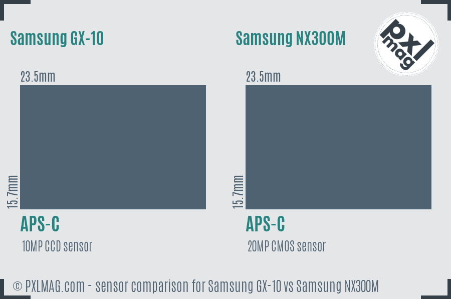 Samsung GX-10 vs Samsung NX300M sensor size comparison
