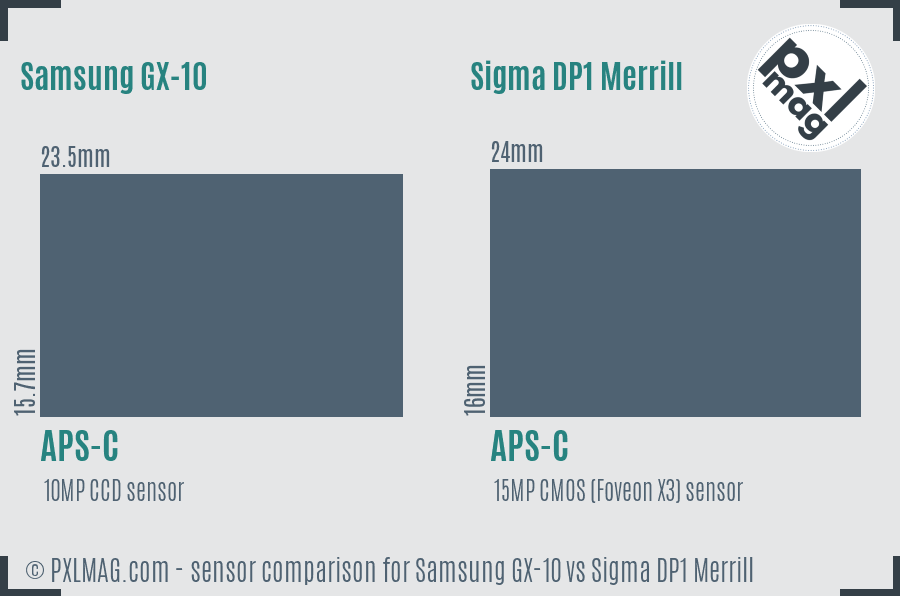 Samsung GX-10 vs Sigma DP1 Merrill sensor size comparison
