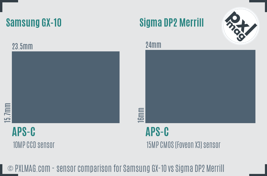 Samsung GX-10 vs Sigma DP2 Merrill sensor size comparison