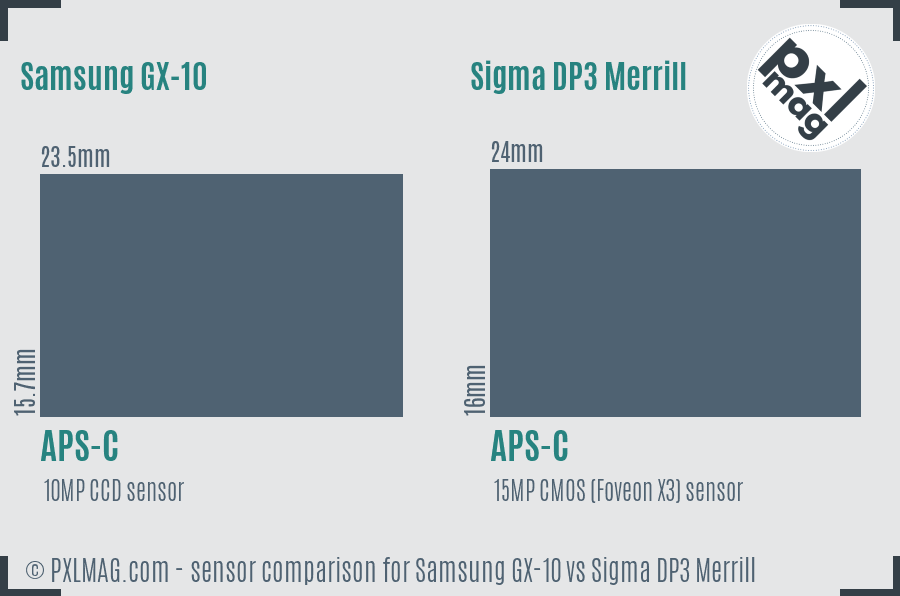 Samsung GX-10 vs Sigma DP3 Merrill sensor size comparison