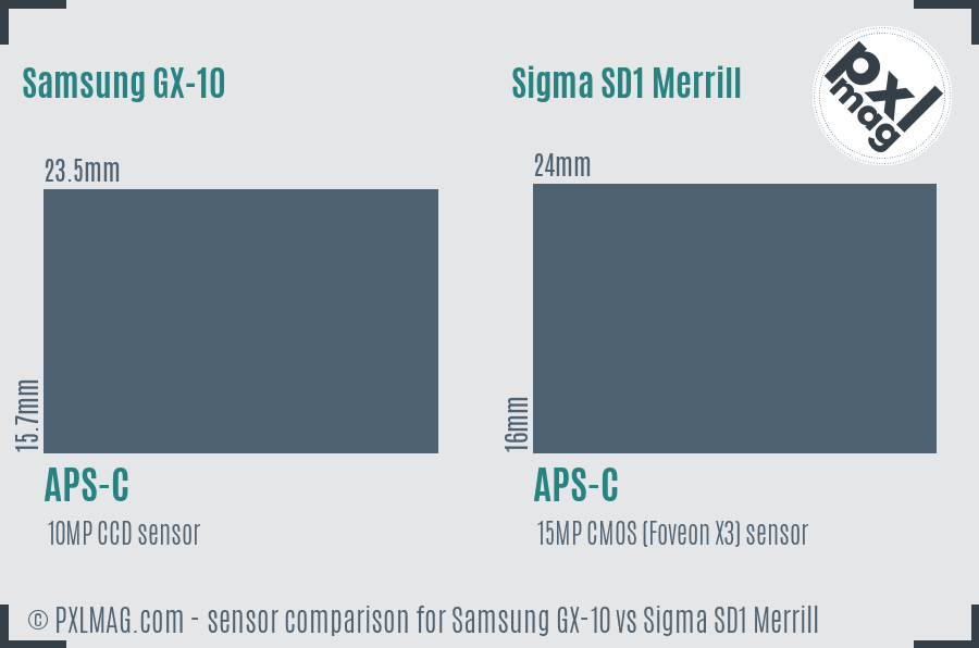 Samsung GX-10 vs Sigma SD1 Merrill sensor size comparison