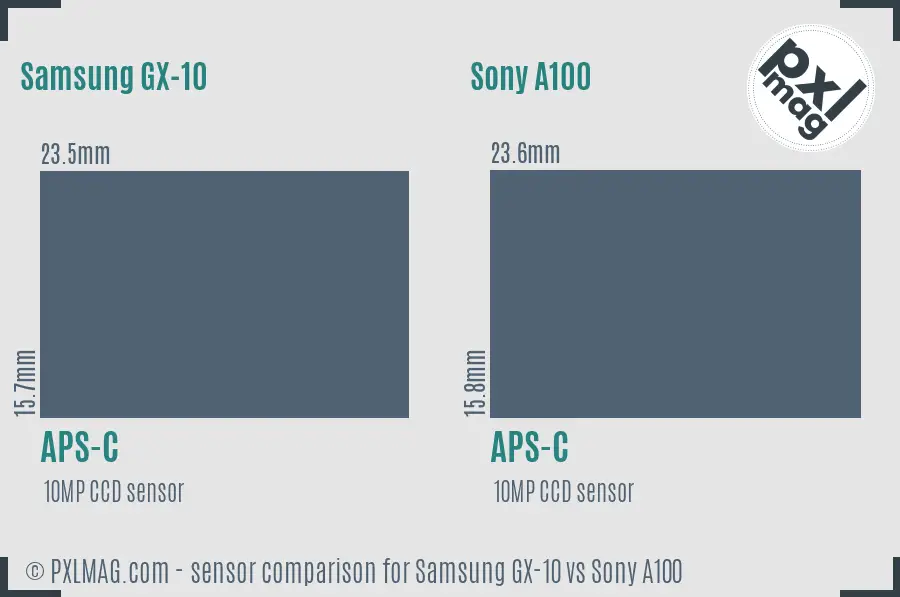 Samsung GX-10 vs Sony A100 sensor size comparison