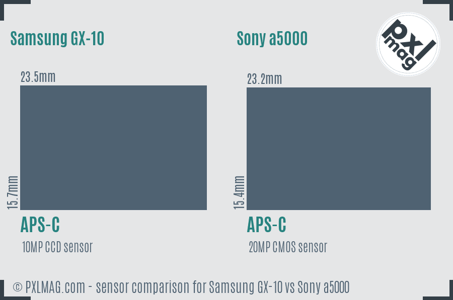 Samsung GX-10 vs Sony a5000 sensor size comparison