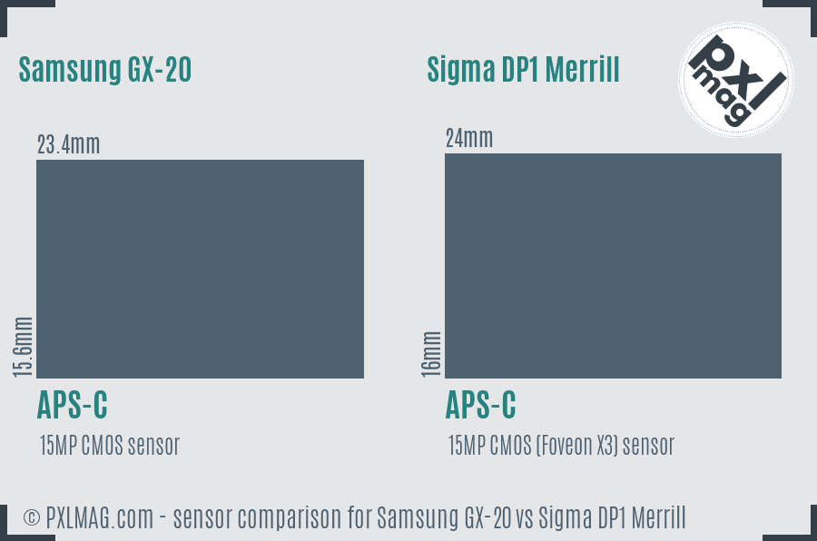 Samsung GX-20 vs Sigma DP1 Merrill sensor size comparison