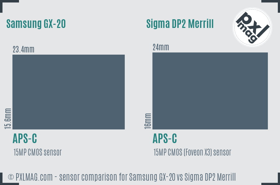 Samsung GX-20 vs Sigma DP2 Merrill sensor size comparison