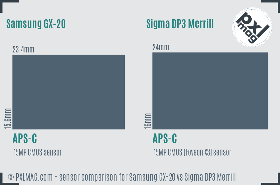 Samsung GX-20 vs Sigma DP3 Merrill sensor size comparison