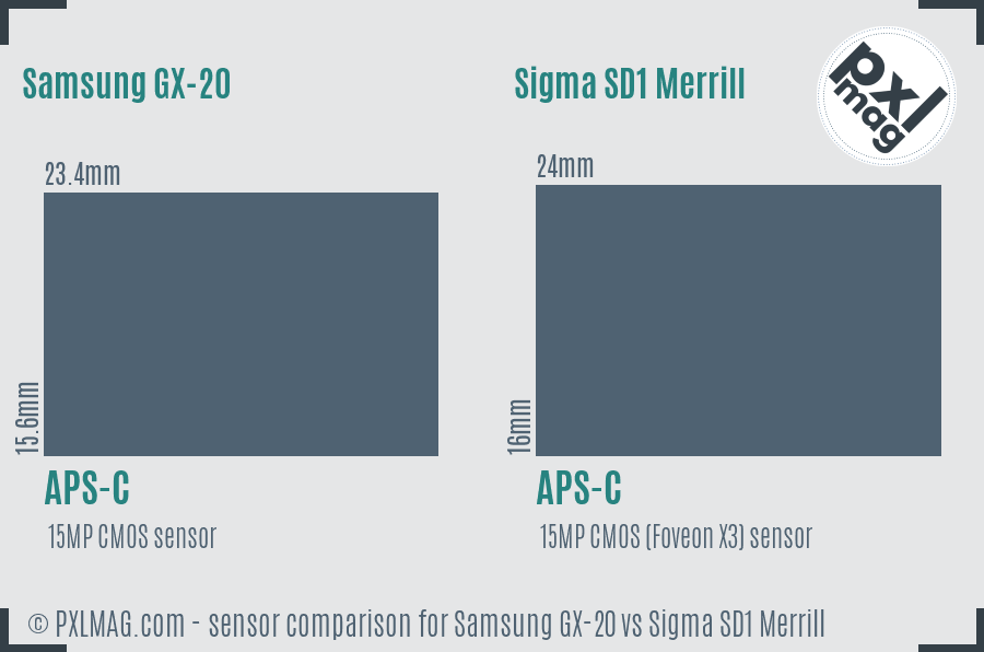 Samsung GX-20 vs Sigma SD1 Merrill sensor size comparison