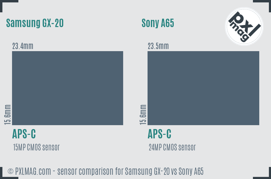 Samsung GX-20 vs Sony A65 sensor size comparison