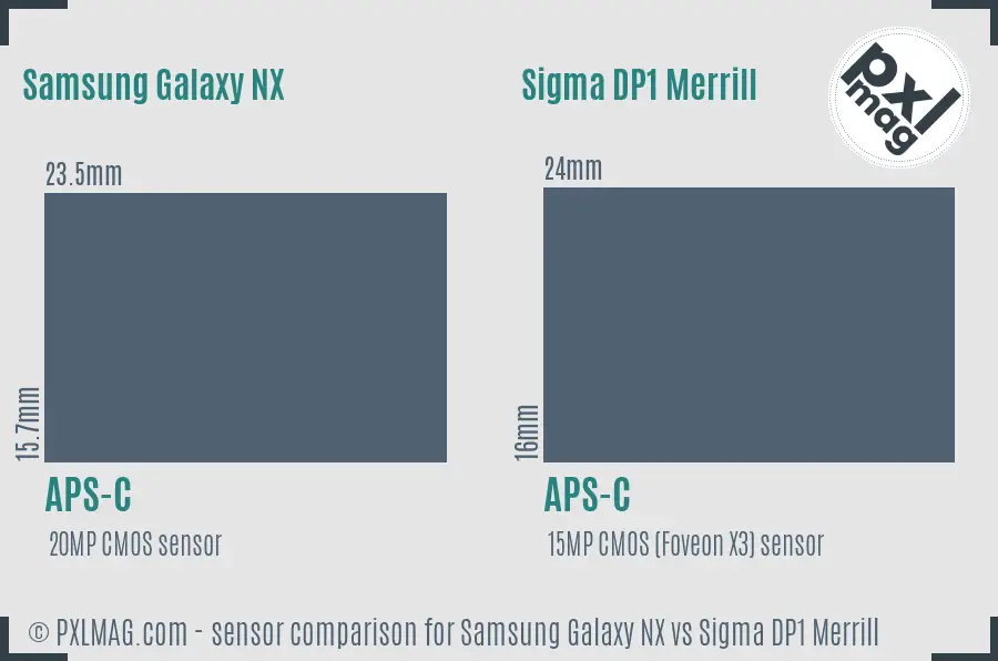Samsung Galaxy NX vs Sigma DP1 Merrill sensor size comparison