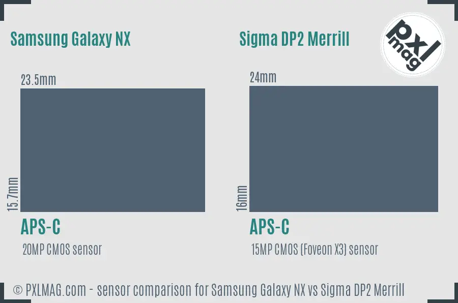 Samsung Galaxy NX vs Sigma DP2 Merrill sensor size comparison