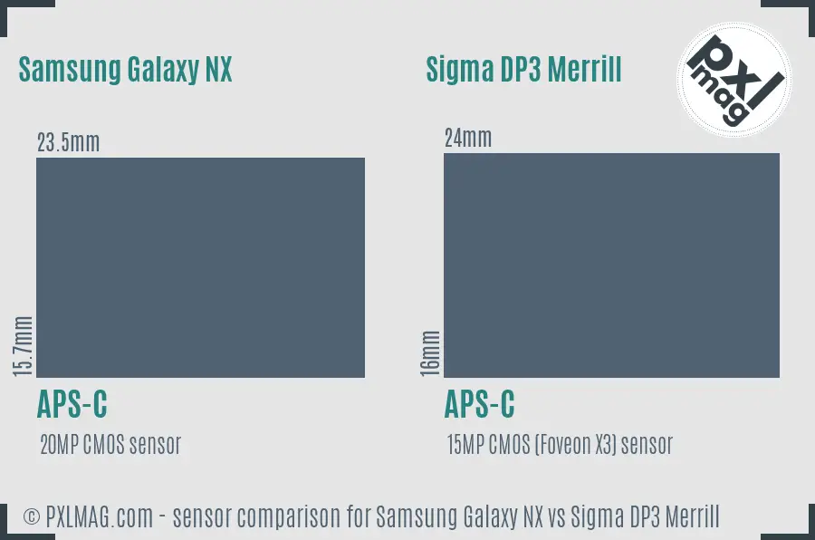 Samsung Galaxy NX vs Sigma DP3 Merrill sensor size comparison