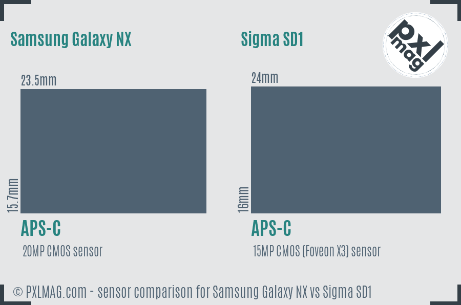 Samsung Galaxy NX vs Sigma SD1 sensor size comparison