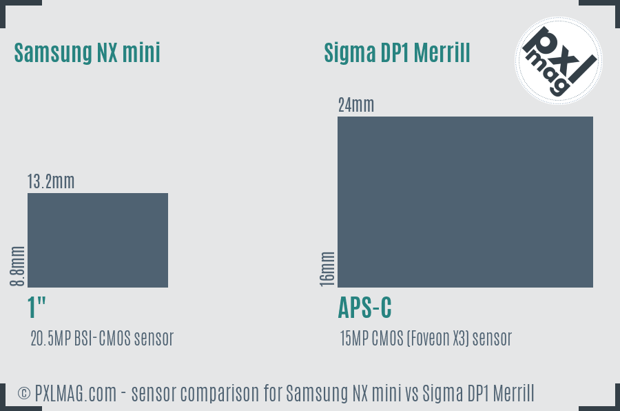 Samsung NX mini vs Sigma DP1 Merrill sensor size comparison