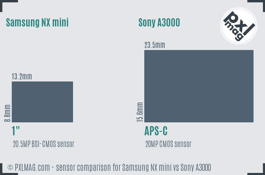 Samsung NX mini vs Sony A3000 sensor size comparison