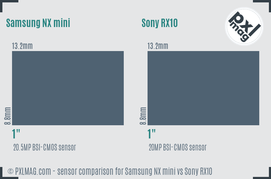 Samsung NX mini vs Sony RX10 sensor size comparison