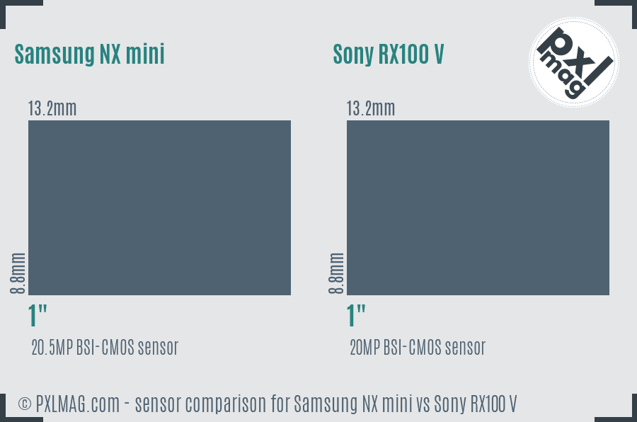 Samsung NX mini vs Sony RX100 V sensor size comparison