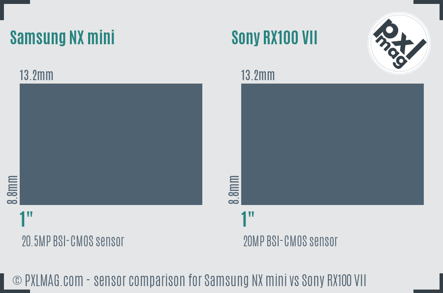 Samsung NX mini vs Sony RX100 VII sensor size comparison
