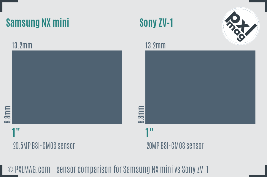 Samsung NX mini vs Sony ZV-1 sensor size comparison