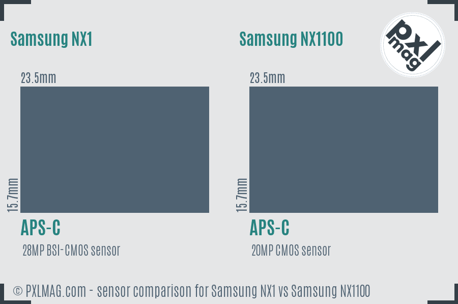 Samsung NX1 vs Samsung NX1100 sensor size comparison