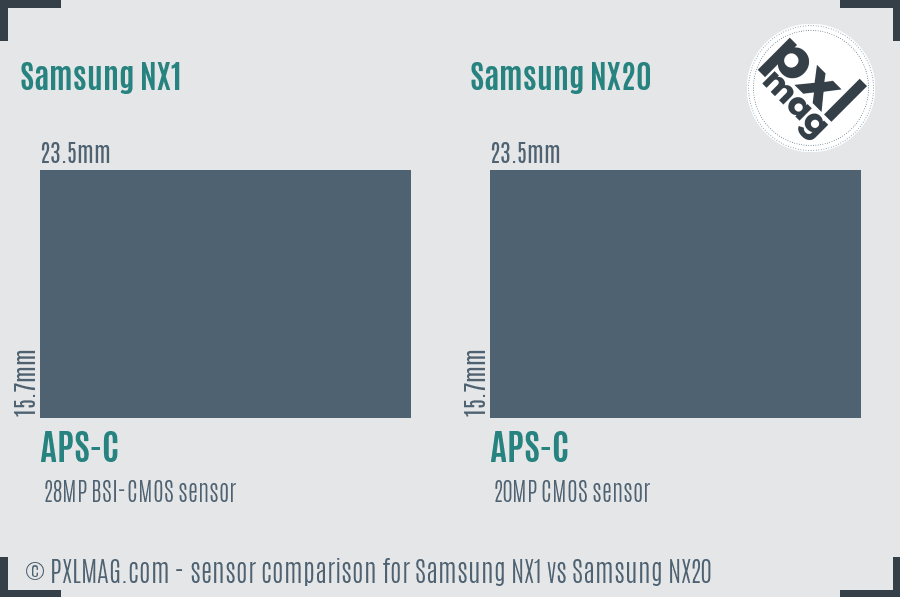 Samsung NX1 vs Samsung NX20 sensor size comparison