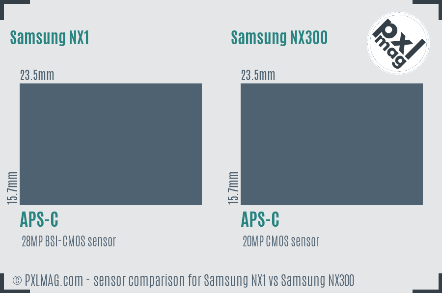 Samsung NX1 vs Samsung NX300 sensor size comparison