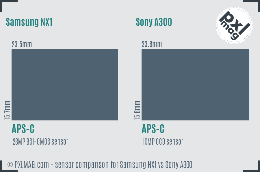 Samsung NX1 vs Sony A300 sensor size comparison