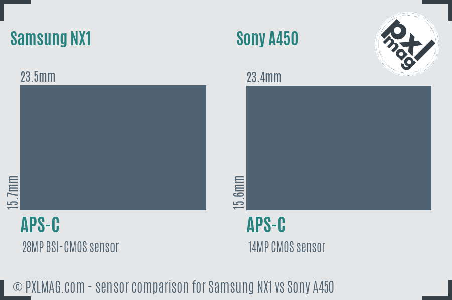 Samsung NX1 vs Sony A450 sensor size comparison