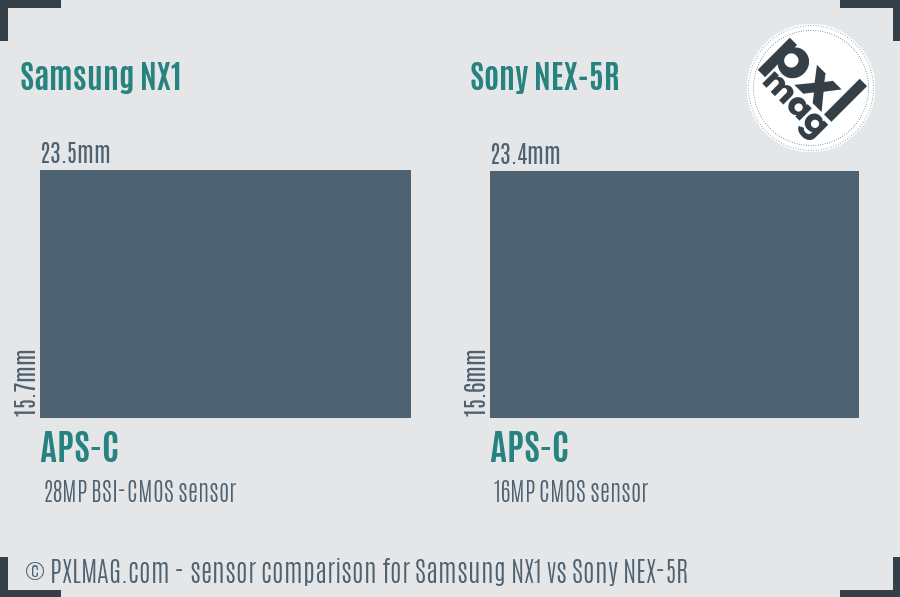 Samsung NX1 vs Sony NEX-5R sensor size comparison