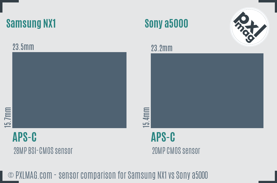 Samsung NX1 vs Sony a5000 sensor size comparison