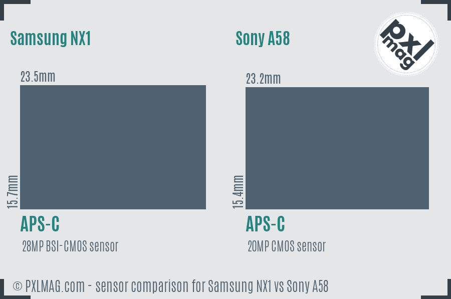 Samsung NX1 vs Sony A58 sensor size comparison