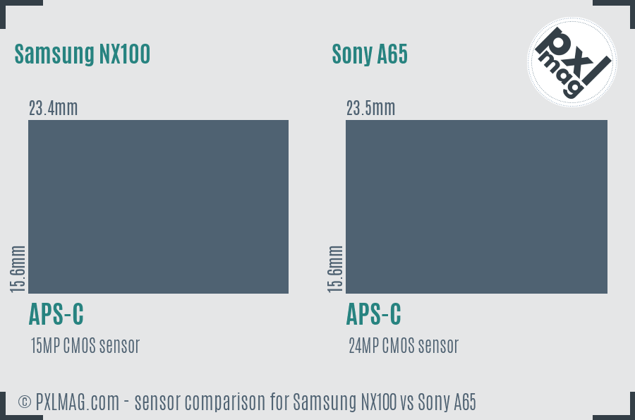 Samsung NX100 vs Sony A65 sensor size comparison