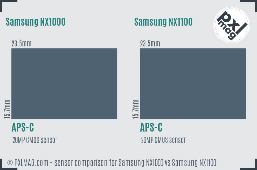 Samsung NX1000 vs Samsung NX1100 sensor size comparison