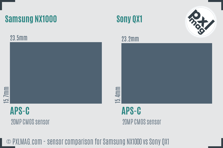 Samsung NX1000 vs Sony QX1 sensor size comparison
