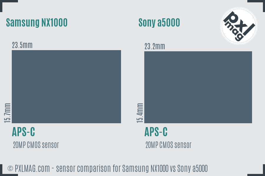 Samsung NX1000 vs Sony a5000 sensor size comparison