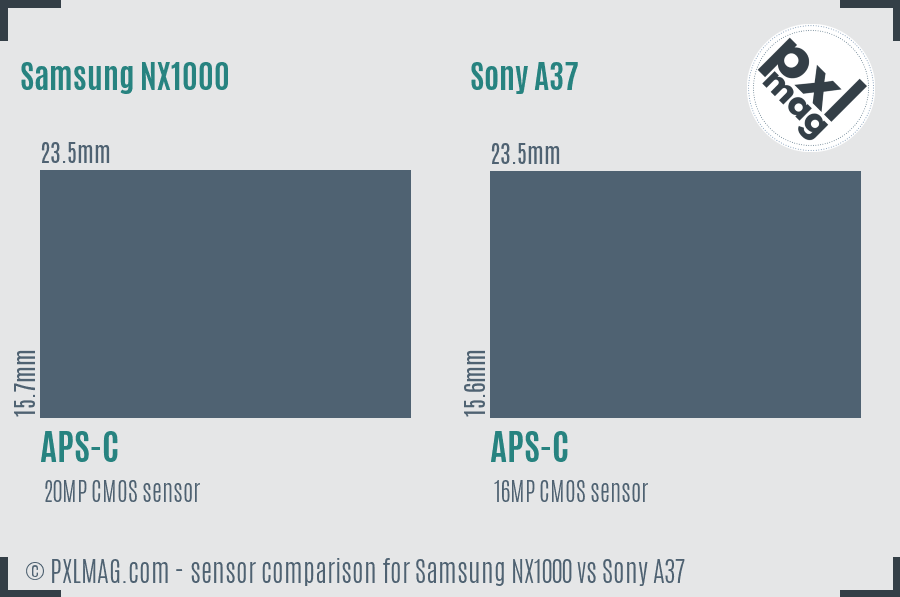 Samsung NX1000 vs Sony A37 sensor size comparison