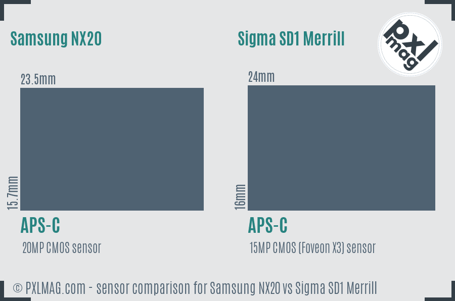 Samsung NX20 vs Sigma SD1 Merrill sensor size comparison