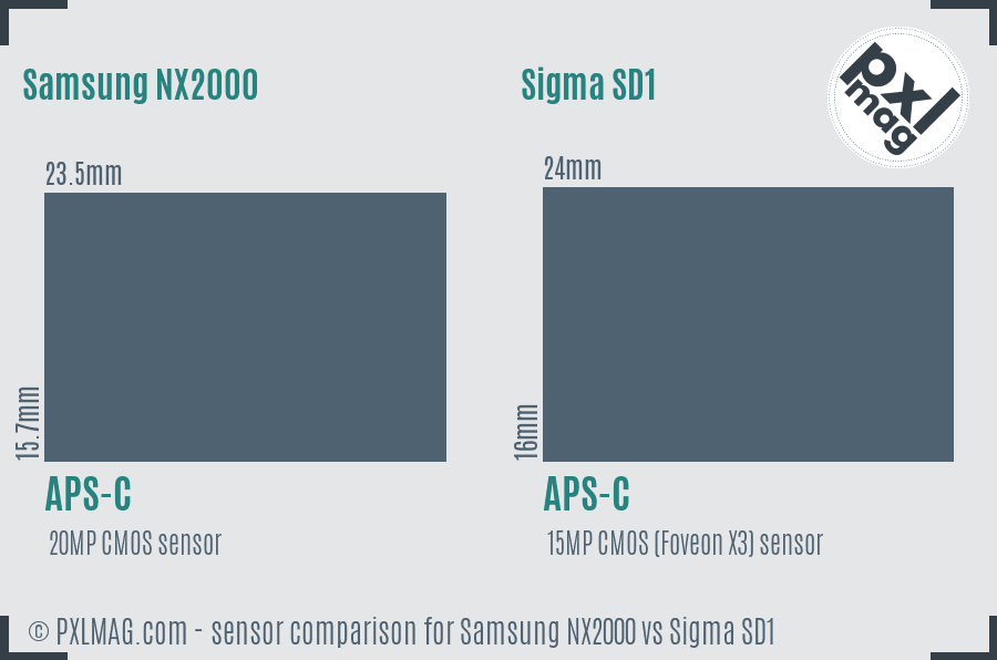 Samsung NX2000 vs Sigma SD1 sensor size comparison