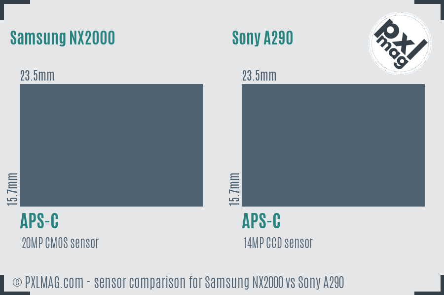 Samsung NX2000 vs Sony A290 sensor size comparison