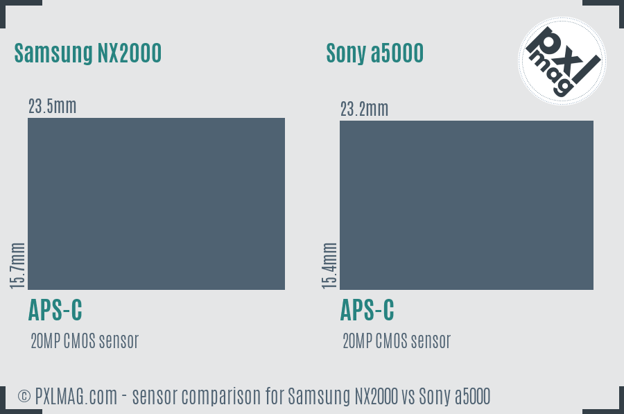 Samsung NX2000 vs Sony a5000 sensor size comparison