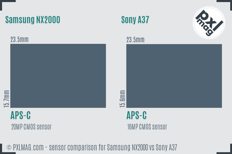 Samsung NX2000 vs Sony A37 sensor size comparison