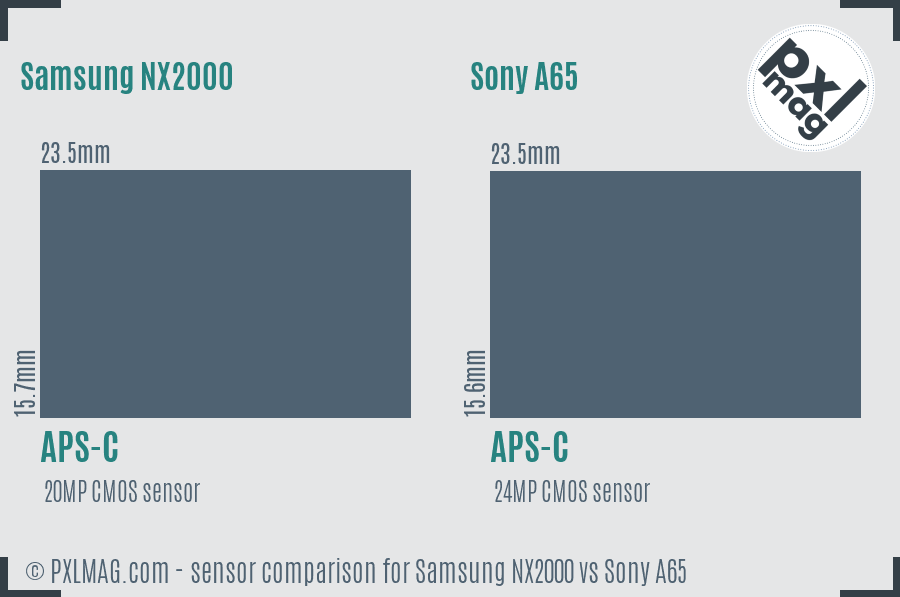 Samsung NX2000 vs Sony A65 sensor size comparison