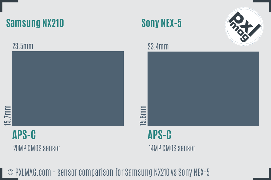 Samsung NX210 vs Sony NEX-5 sensor size comparison