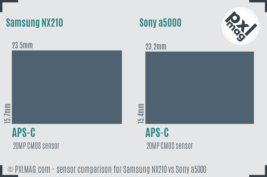 Samsung NX210 vs Sony a5000 sensor size comparison