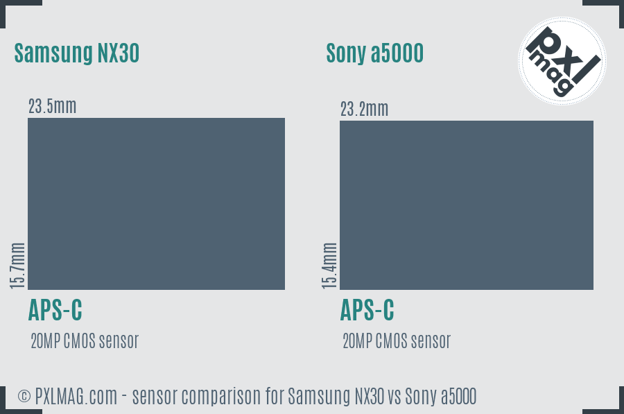 Samsung NX30 vs Sony a5000 sensor size comparison