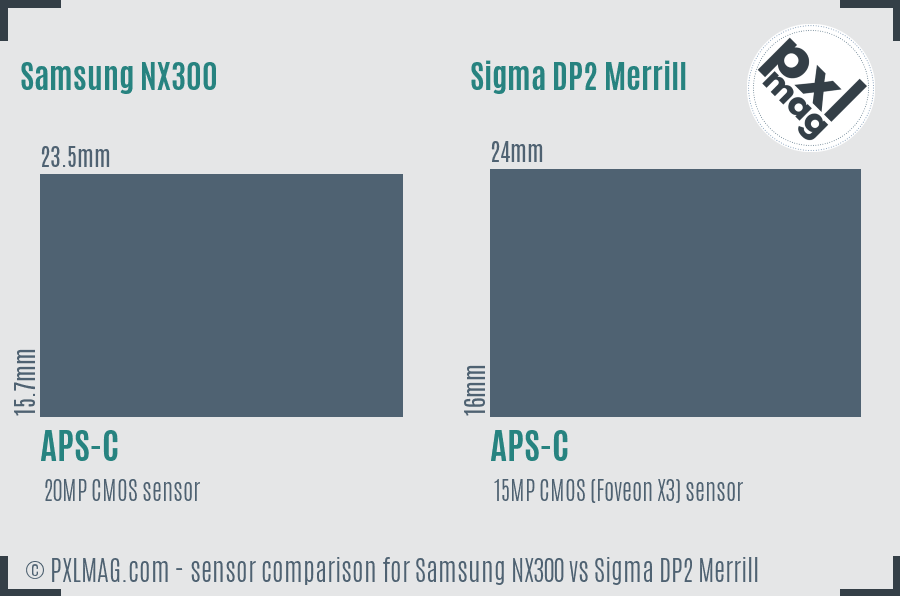 Samsung NX300 vs Sigma DP2 Merrill sensor size comparison