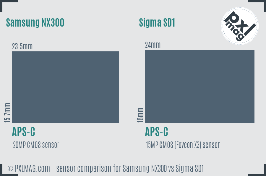 Samsung NX300 vs Sigma SD1 sensor size comparison