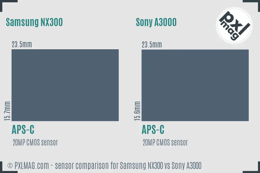 Samsung NX300 vs Sony A3000 sensor size comparison