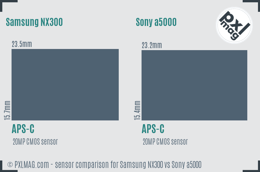 Samsung NX300 vs Sony a5000 sensor size comparison