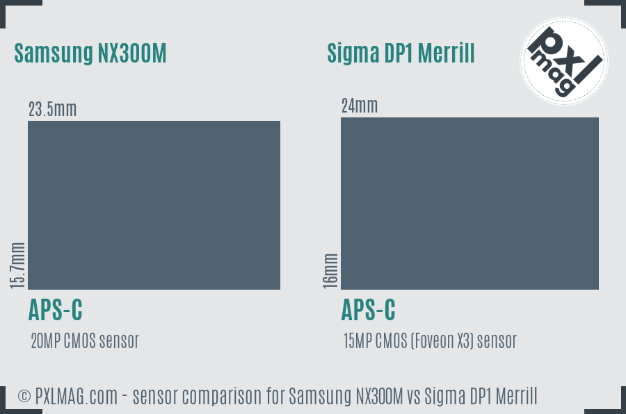 Samsung NX300M vs Sigma DP1 Merrill sensor size comparison