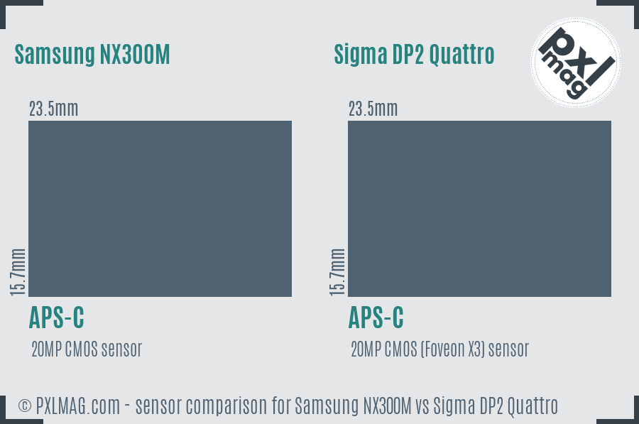 Samsung NX300M vs Sigma DP2 Quattro sensor size comparison